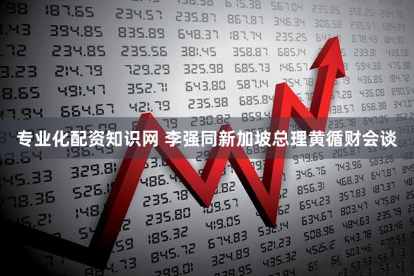 专业化配资知识网 李强同新加坡总理黄循财会谈