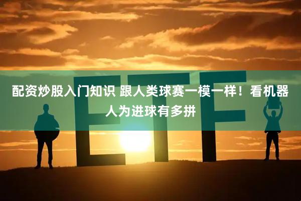 配资炒股入门知识 跟人类球赛一模一样！看机器人为进球有多拼